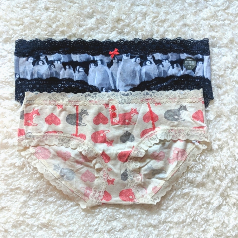 NWT Aerie Lace Trim Boybriefs